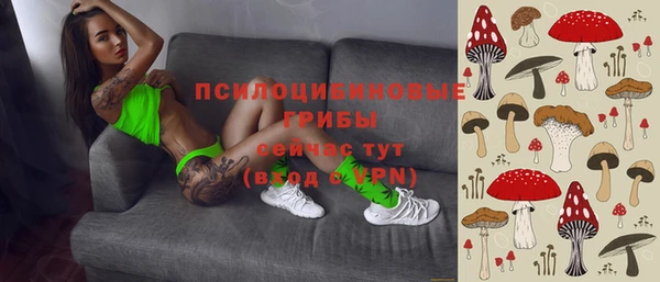 молекула духа Алексеевка