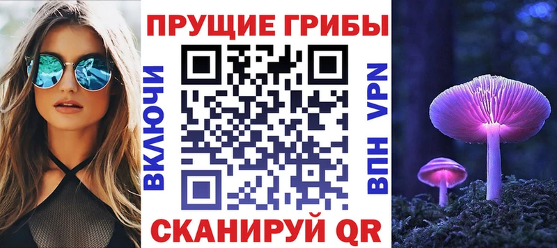 блэк спрут   Зерноград  Галлюциногенные грибы Cubensis 